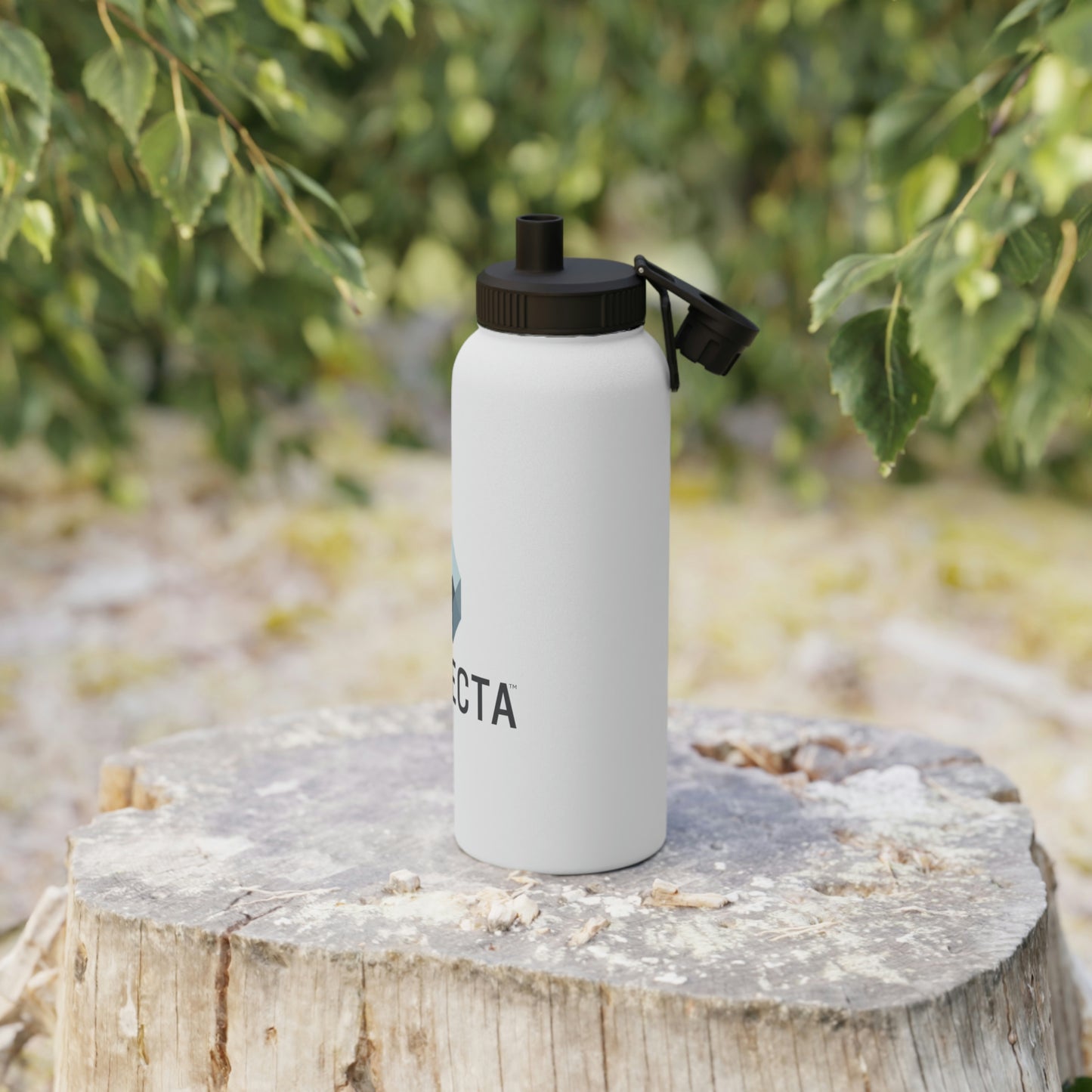 Stainless Steel Water Bottle, Sports Lid