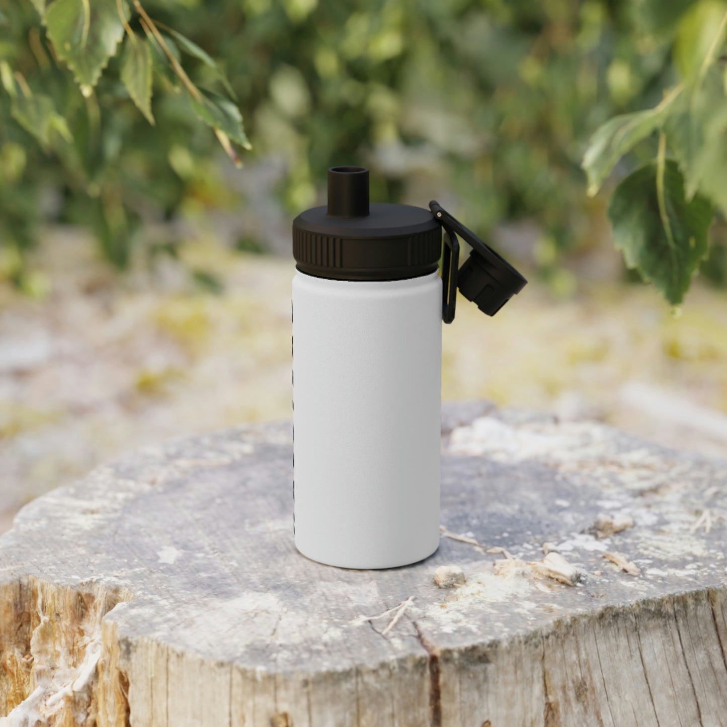 Stainless Steel Water Bottle, Sports Lid